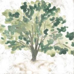 Country Tree I | Obraz na stenu