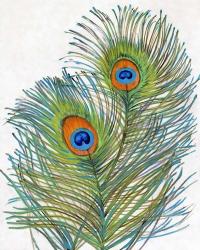Vivid Peacock Feathers I | Obraz na stenu
