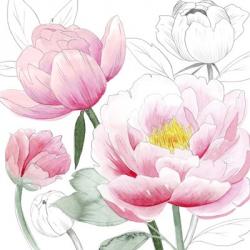 May Peonies I | Obraz na stenu