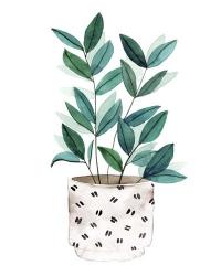 Plant in a Pot I | Obraz na stenu