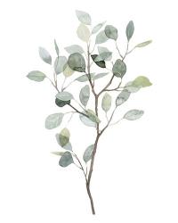 Seaglass Eucalyptus I | Obraz na stenu
