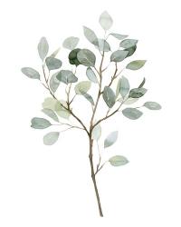 Seaglass Eucalyptus II | Obraz na stenu