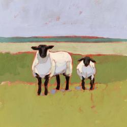 Suffolk Sheep I | Obraz na stenu