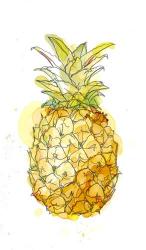 Pineapple Splash II | Obraz na stenu