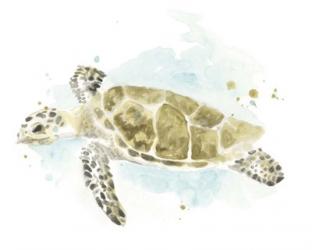 Watercolor Sea Turtle Study II | Obraz na stenu