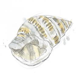 Citron Shell Sketch I | Obraz na stenu