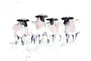 Minimalist Watercolor Sheep II | Obraz na stenu