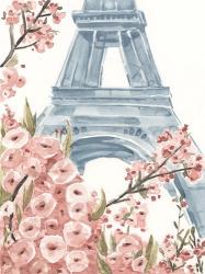 Paris Cherry Blossoms I | Obraz na stenu