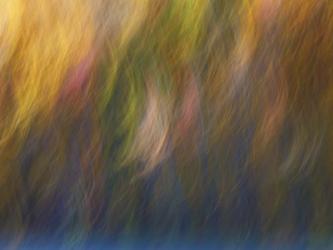 Soft Landscape X | Obraz na stenu