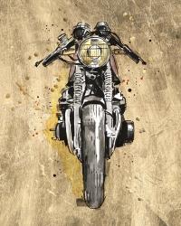 Metallic Rider I | Obraz na stenu