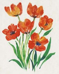 Red Tulips in Bloom II | Obraz na stenu