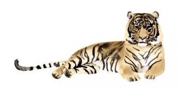 Watercolor Tiger II | Obraz na stenu