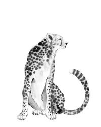 Chrome Cheetah I | Obraz na stenu