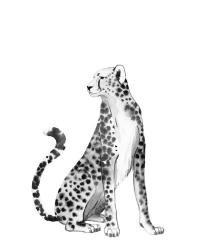 Chrome Cheetah II | Obraz na stenu