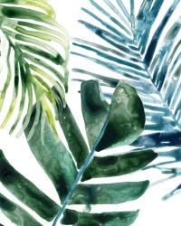Tropical Leaf Medley I | Obraz na stenu
