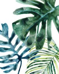 Tropical Leaf Medley III | Obraz na stenu