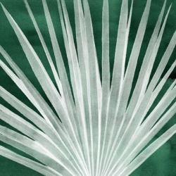 Velvet Palm I | Obraz na stenu