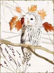 Harvest Owl II | Obraz na stenu