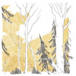 Northwood I | Obraz na stenu