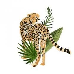 Cheetah Outlook III | Obraz na stenu