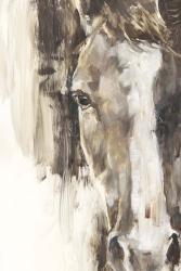 Cropped Equine Study I | Obraz na stenu