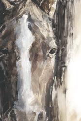 Cropped Equine Study II | Obraz na stenu