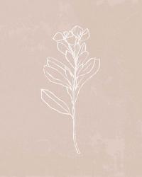 Blush Bloom I | Obraz na stenu
