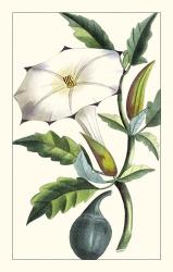 Turpin Exotic Botanical I | Obraz na stenu