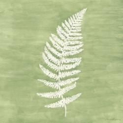 Forest Ferns III | Obraz na stenu