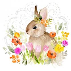 April Flowers & Bunny II | Obraz na stenu