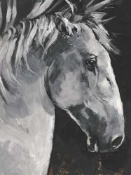 Tribeca Horse I | Obraz na stenu