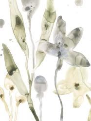 Stone Moss Stems I | Obraz na stenu