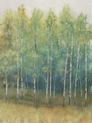 Woodland Edge II | Obraz na stenu