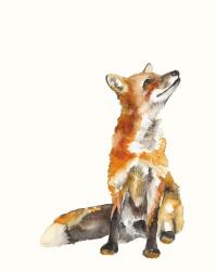 Sly Fox I | Obraz na stenu