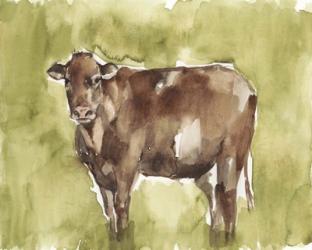 Cow in the Field II | Obraz na stenu