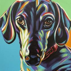 Painted Dachshund I | Obraz na stenu