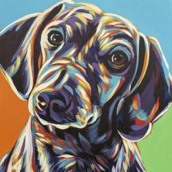 Painted Dachshund II | Obraz na stenu