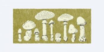 Forest Fungi I | Obraz na stenu