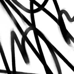 Disarray II | Obraz na stenu