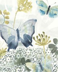 Butterfly Concerto II | Obraz na stenu