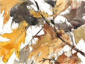 Watercolor Autumn Leaves I | Obraz na stenu