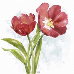 Red Tulip Splash I | Obraz na stenu