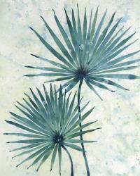 Palm Leaves II | Obraz na stenu
