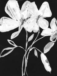 White Whimsical Flowers I | Obraz na stenu