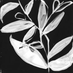 Quirky White Leaves I | Obraz na stenu