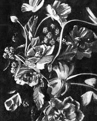 Enchanted Bloom I | Obraz na stenu