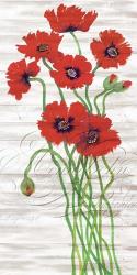 Red Poppy Panel I | Obraz na stenu