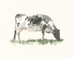 Grazing Farm Animal I | Obraz na stenu