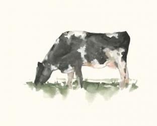 Grazing Farm Animal II | Obraz na stenu