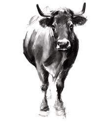 Charcoal Cattle II | Obraz na stenu